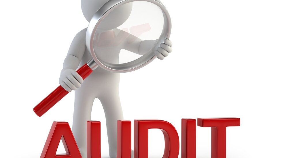 Audit Services in Jaipur